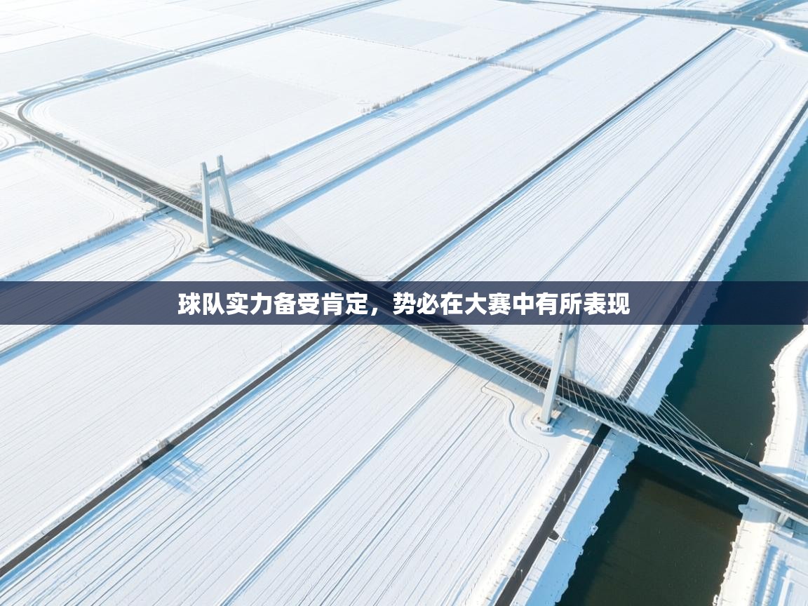 球队实力备受肯定，势必在大赛中有所表现  第1张