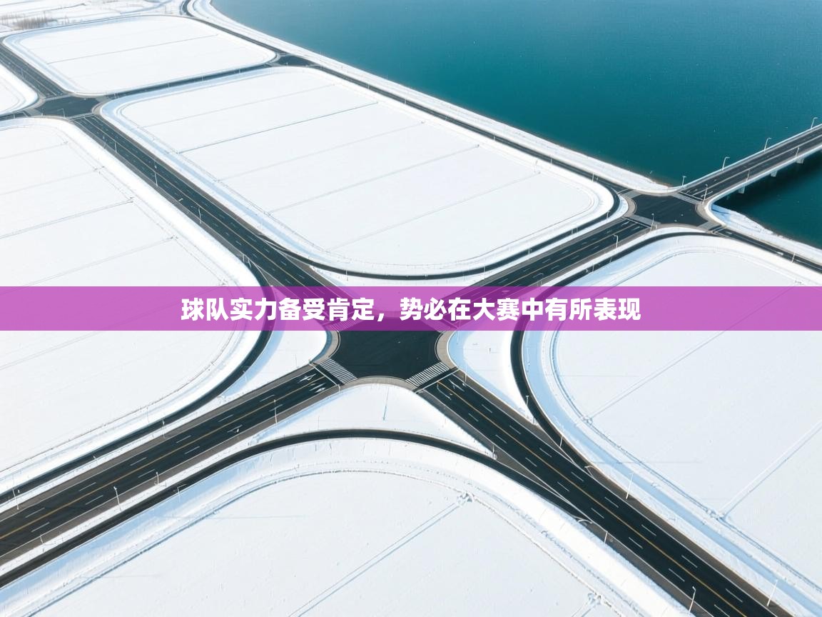 球队实力备受肯定，势必在大赛中有所表现  第2张